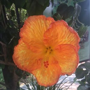 Meet your Posher, Ab